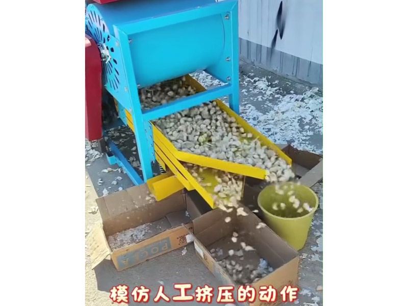 大蒜分瓣分选机视频